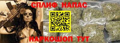 наркотики Кингисепп