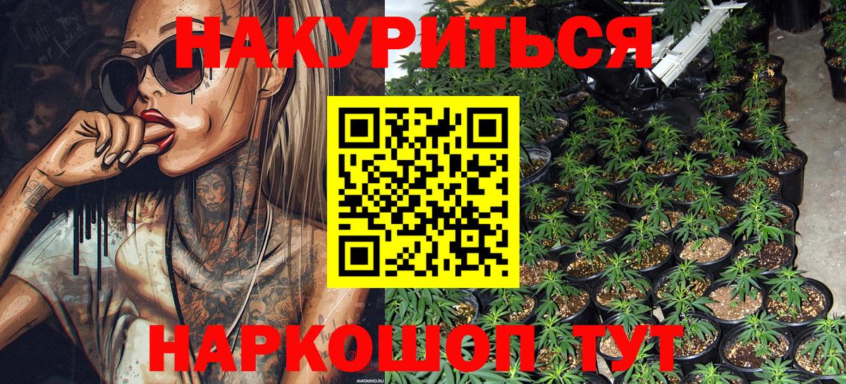 Кудрово  Марихуана OG Kush  Конопля MAZAR  Вход с VPN 